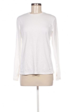 Damen Shirt Calvin Klein, Größe M, Farbe Weiß, Preis 20,99 €