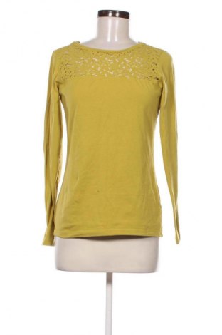 Damen Shirt Franco Callegari, Größe S, Farbe Grün, Preis € 8,36