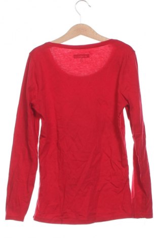 Damen Shirt In Extenso, Größe XS, Farbe Rot, Preis 3,99 €