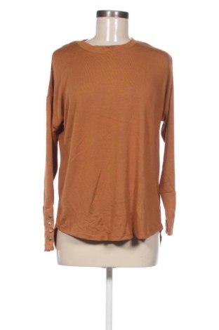 Damen Shirt Katies, Größe M, Farbe Braun, Preis 4,99 €