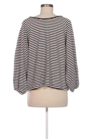 Damen Shirt Pazzo, Größe M, Farbe Mehrfarbig, Preis € 3,99
