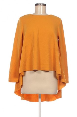 Damen Shirt SHEIN, Größe S, Farbe Orange, Preis 5,99 €