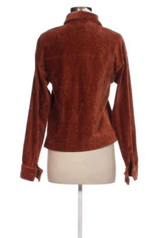 Damenbluse Revelation, Größe M, Farbe Braun, Preis € 3,99