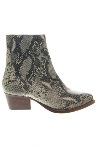 Botine de damă Hudson London, Mărime 37, Culoare Multicolor, Preț 436,00 Lei