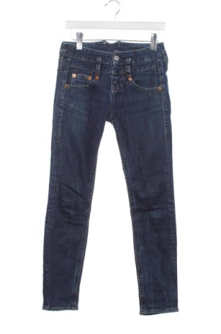 Damen Jeans Herrlicher, Größe XXS, Farbe Blau, Preis € 15,99