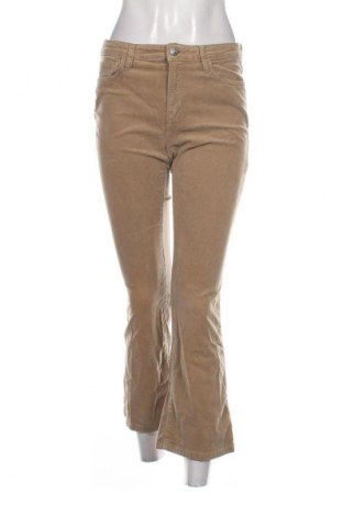 Damen Cordhose Mango, Größe M, Farbe Beige, Preis 17,00 €