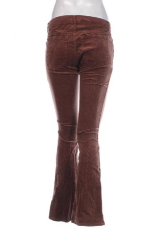 Damen Cordhose Wild Fable, Größe M, Farbe Braun, Preis € 5,99