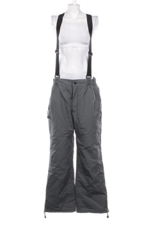 Damenoverall für Wintersport Crane, Größe L, Farbe Grau, Preis € 14,99