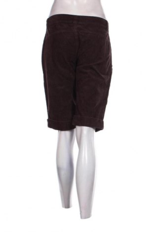 Damen Shorts United Colors Of Benetton, Größe XL, Farbe Braun, Preis € 5,99