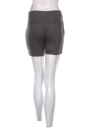 Damen Shorts United Colors Of Benetton, Größe S, Farbe Grau, Preis € 5,99