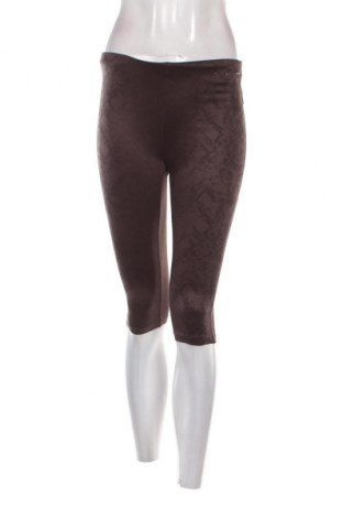 Damen Leggings Oysho, Größe S, Farbe Braun, Preis 22,43 €