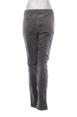 Damenhose Blue Motion, Größe M, Farbe Grau, Preis € 13,99