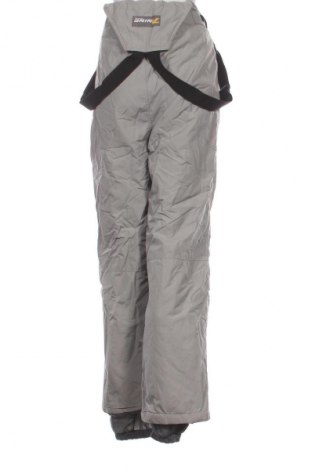 Dámske nohavice pre zimné športy Unbranded, Veľkosť L, Farba Sivá, Cena  17,95 €