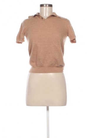 Damenpullover Paul Costelloe, Größe M, Farbe Braun, Preis € 31,71