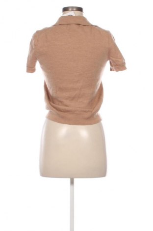 Damenpullover Paul Costelloe, Größe M, Farbe Braun, Preis 31,71 €