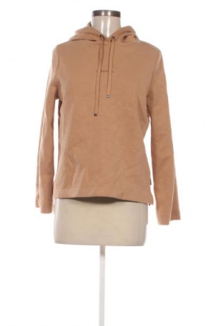 Damen Sweatshirt Calvin Klein, Größe M, Farbe Braun, Preis € 37,99