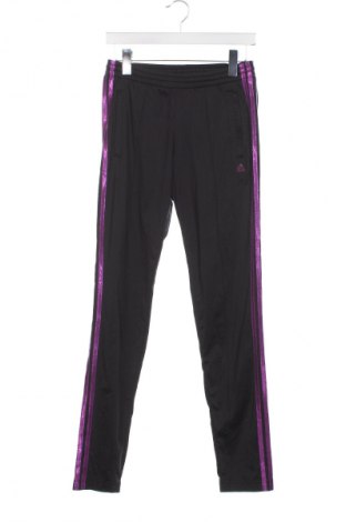 Damen Sporthose Adidas, Größe XS, Farbe Schwarz, Preis 38,13 €