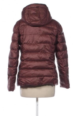 Damenjacke Edc By Esprit, Größe M, Farbe Braun, Preis € 61,99