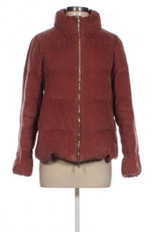 Damenjacke Massimo Dutti, Größe S, Farbe Braun, Preis 26,00 €