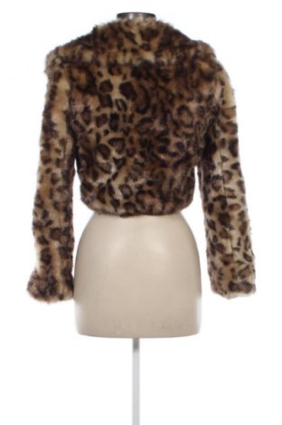 Damenjacke Olivia Hops, Größe XS, Farbe Mehrfarbig, Preis € 32,99