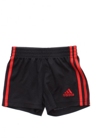 Παιδικό κοντό παντελόνι Adidas, Μέγεθος 2-3m/ 56-62 εκ., Χρώμα Μαύρο, Τιμή 5,99 €