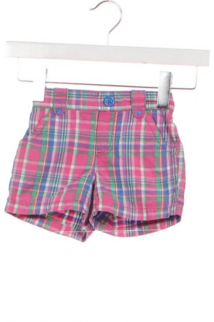 Kinder Shorts Circo, Größe 3-4y/ 104-110 cm, Farbe Mehrfarbig, Preis 5,99 €