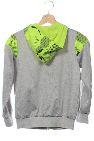 Kinder Sweatshirts, Größe 9-12m/ 74-80 cm, Farbe Mehrfarbig, Preis 4,99 €