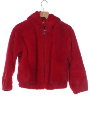 Kinder Sweatshirts, Größe 5-6y/ 116-122 cm, Farbe Rot, Preis € 6,99