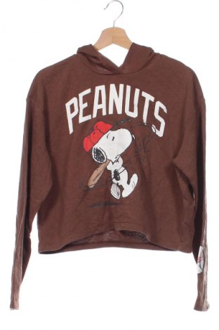 Kinder Sweatshirts H&M, Größe 14-15y/ 168-170 cm, Farbe Braun, Preis € 4,99