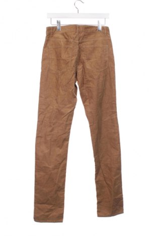 Herren Cordhose Unbranded, Größe S, Farbe Braun, Preis € 8,99