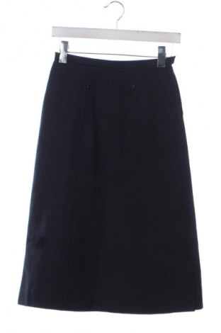 Rock Unbranded, Größe XXS, Farbe Blau, Preis € 1,99