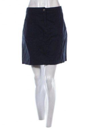 Φούστα Dorothy Perkins, Μέγεθος L, Χρώμα Μπλέ, Τιμή 7,99 €