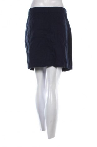Φούστα Dorothy Perkins, Μέγεθος L, Χρώμα Μπλέ, Τιμή 7,99 €