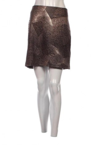 Sukňa Dorothy Perkins, Veľkosť L, Farba Viacfarebná, Cena  3,95 €