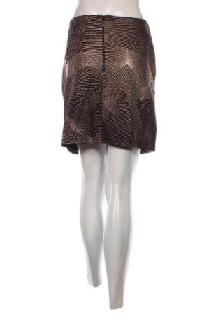 Sukňa Dorothy Perkins, Veľkosť L, Farba Viacfarebná, Cena  3,95 €
