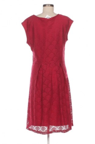 Kleid Anna Field, Größe XL, Farbe Rot, Preis 29,59 €