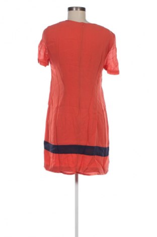 Kleid French Connection, Größe L, Farbe Mehrfarbig, Preis € 57,99