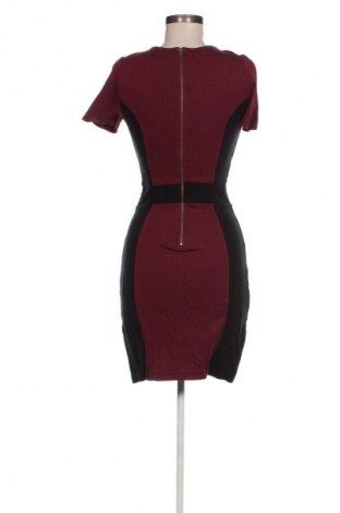 Kleid French Connection, Größe S, Farbe Mehrfarbig, Preis € 57,99