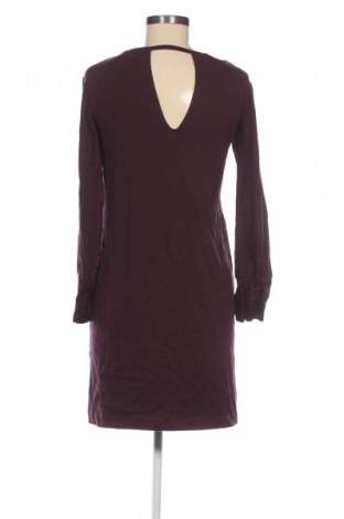 Kleid Massimo Dutti, Größe S, Farbe Lila, Preis 14,99 €