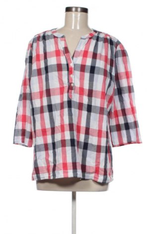 Damen Shirt Canda, Größe XL, Farbe Mehrfarbig, Preis € 7,99