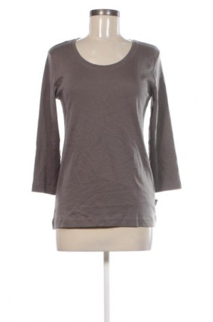 Damen Shirt Cecil, Größe L, Farbe Braun, Preis 7,99 €