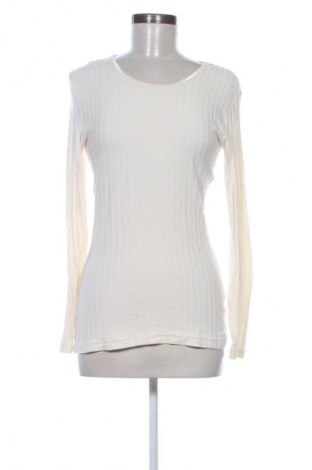 Damen Shirt Encadee, Größe L, Farbe Ecru, Preis € 5,99