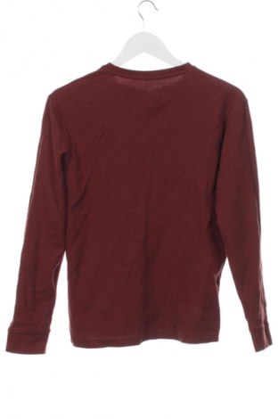 Дамска блуза Jules, Размер XS, Цвят Кафяв, Цена 9,78 €