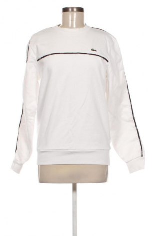 Damen Shirt Lacoste, Größe S, Farbe Weiß, Preis € 95,99