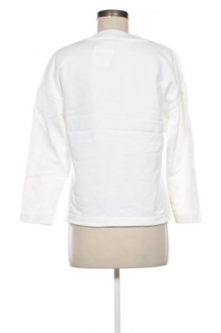 Damen Shirt Massimo Dutti, Größe M, Farbe Mehrfarbig, Preis 25,00 €