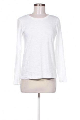 Damen Shirt Montego, Größe M, Farbe Weiß, Preis € 8,99