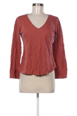 Дамска блуза Unbranded, Размер M, Цвят Кафяв, Цена 9,70 €