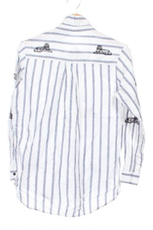 Дамска блуза Zara, Размер XS, Цвят Многоцветен, Цена 8,18 €