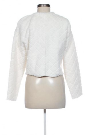 Damen Shirt Zara, Größe S, Farbe Ecru, Preis € 14,00