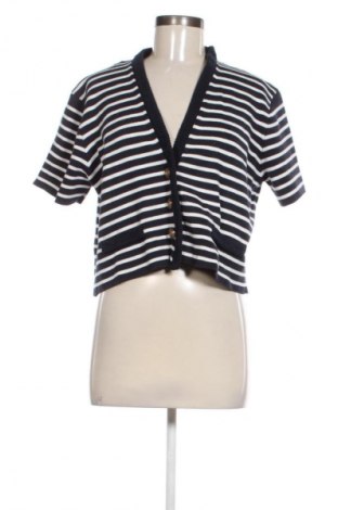 Damen Strickjacke Massimo Dutti, Größe L, Farbe Mehrfarbig, Preis 32,00 €